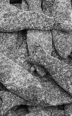 Matthijs Sugared Fish ( Netherlands ) - Image 2