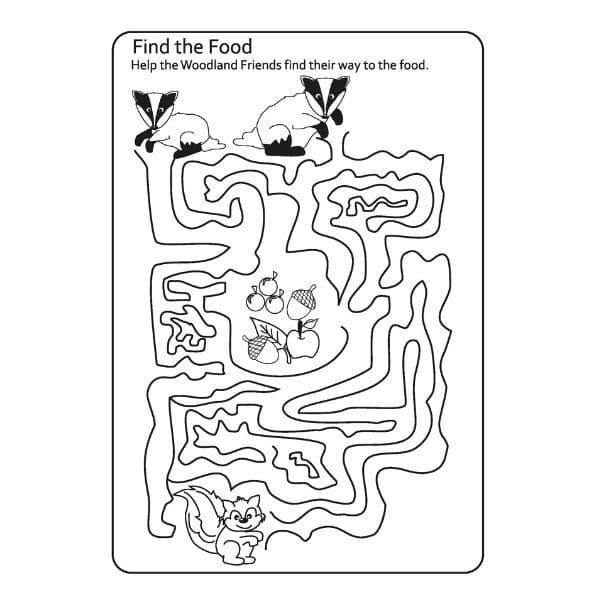 SquiggleMy Woodland Friends All-In-One Activity Book - Image 4